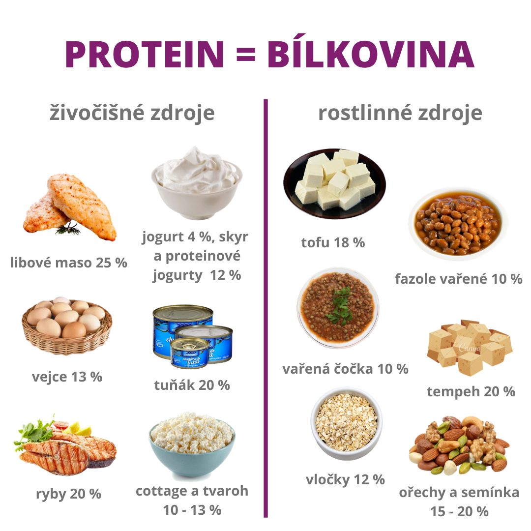 Bílkoviny Proteiny A Hubnutí Blog Lenka Vymlátilová 0874